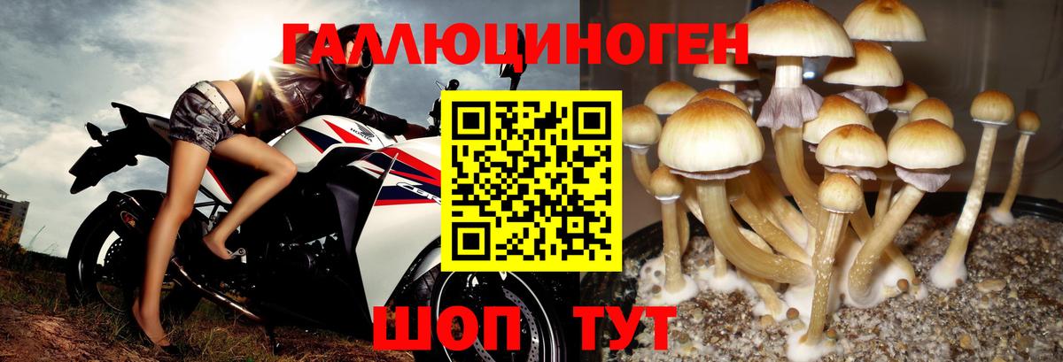 Галлюциногенные грибы MAGIC MUSHROOMS Евпатория