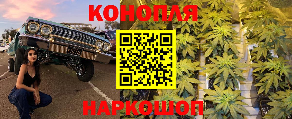 Каннабис конопля Евпатория